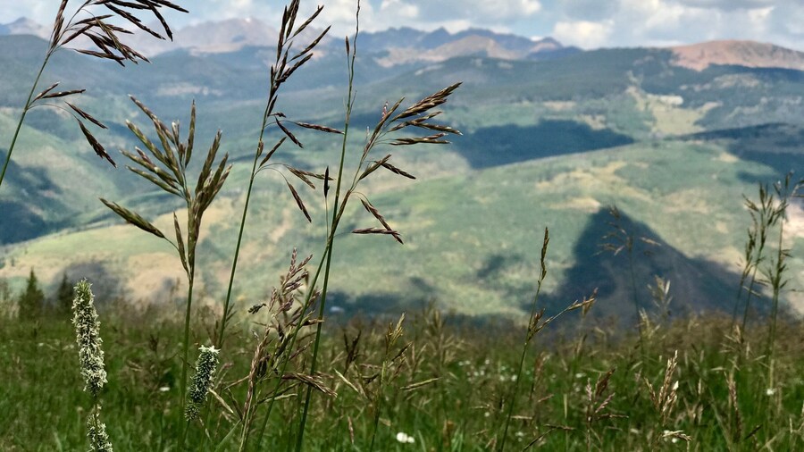 Hiking the trails of Avon Co.
