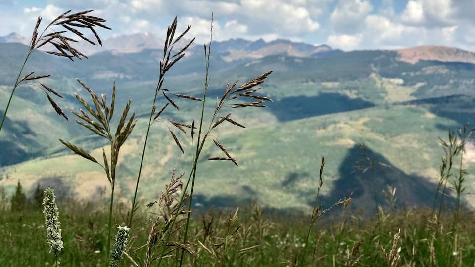 Hiking the trails of Avon Co.