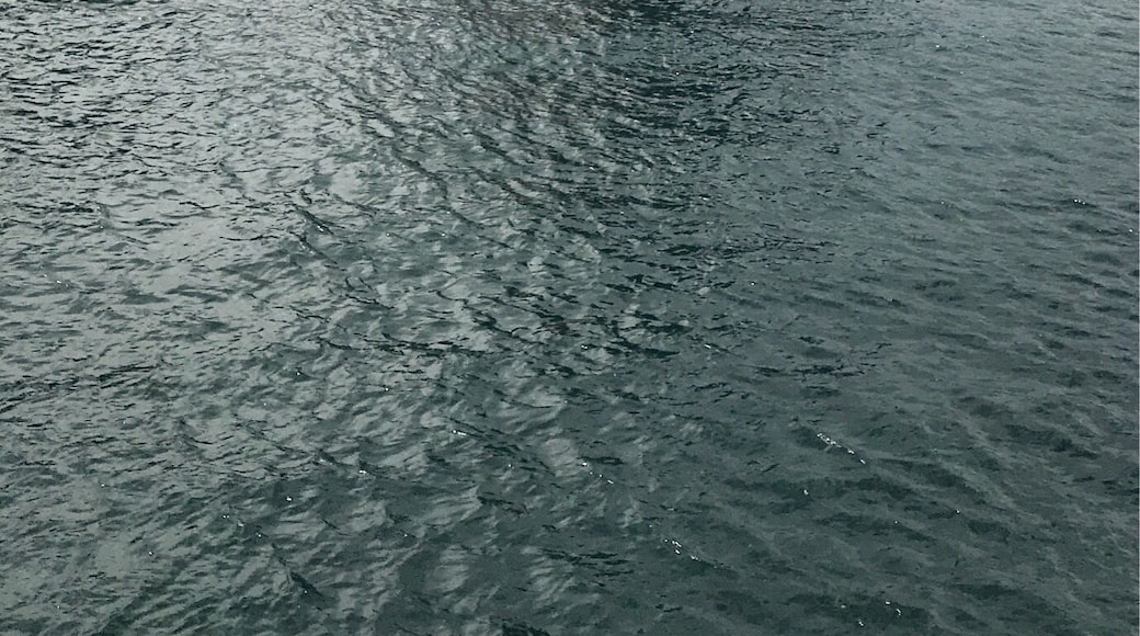 Boldt Castle is located in one of the islands of Thousand Island.