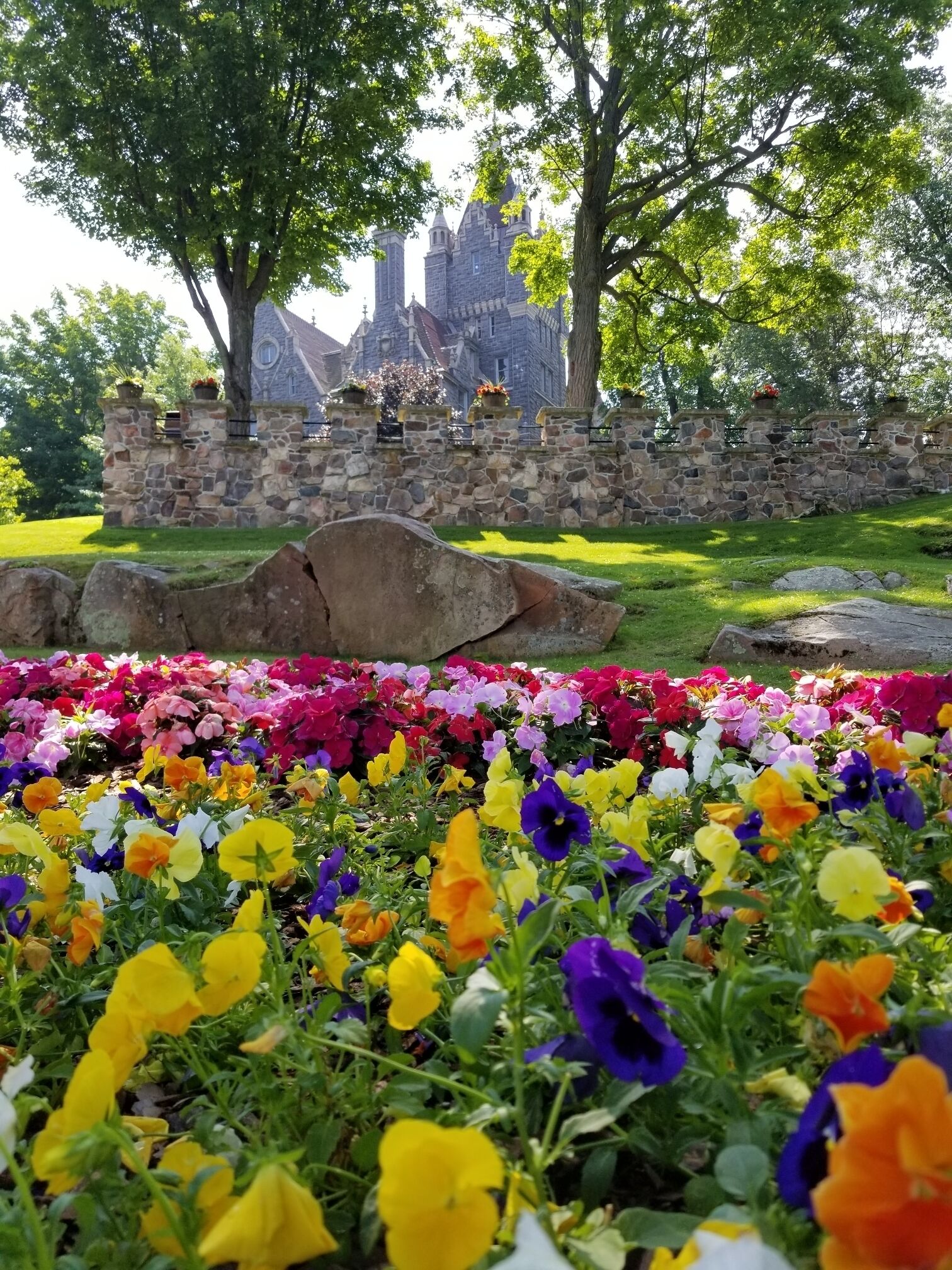 Nice summer day.  You can take this photo right when you get off the boat.  #1000Islands #ny #boldtcastle #flower 