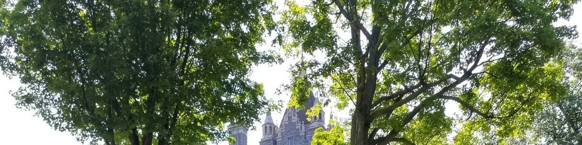 Nice summer day. You can take this photo right when you get off the boat. #1000Islands #ny #boldtcastle #flower