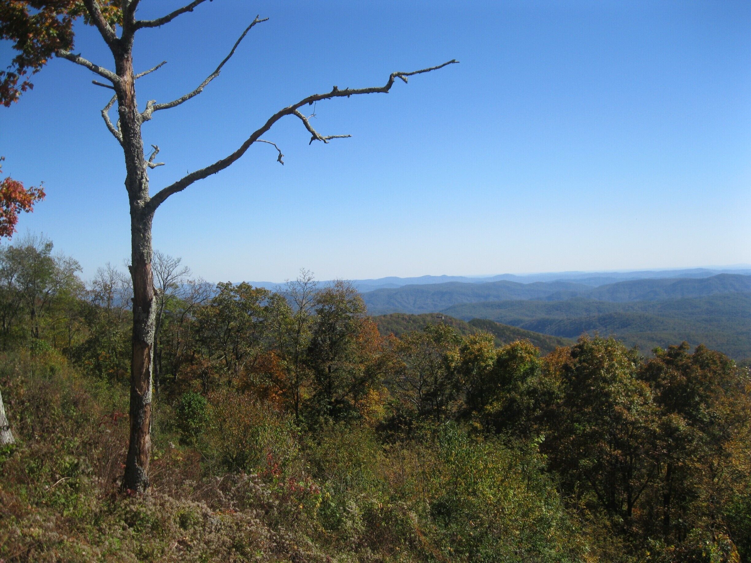 Some fall color on a clear, Carolina Blue day on Blue Ridge Pkwy