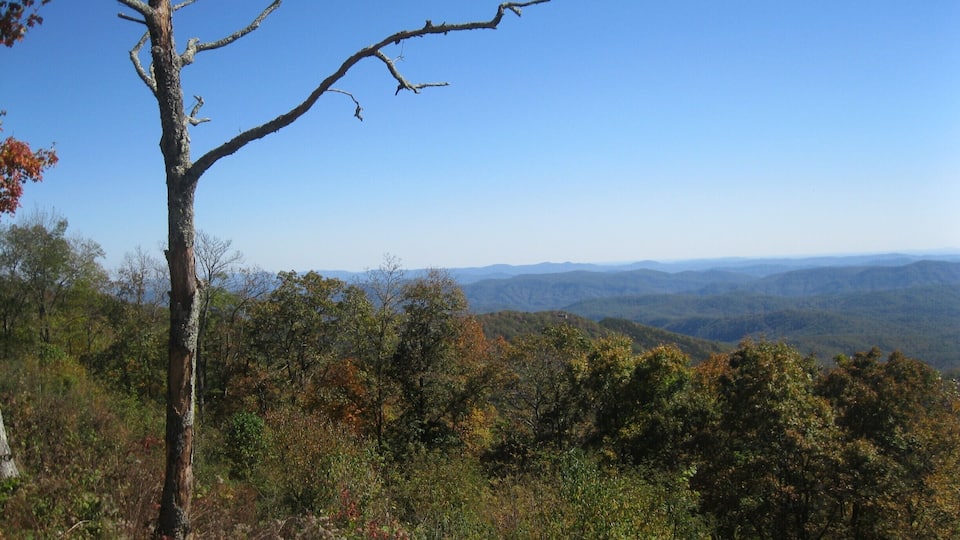 Some fall color on a clear, Carolina Blue day on Blue Ridge Pkwy