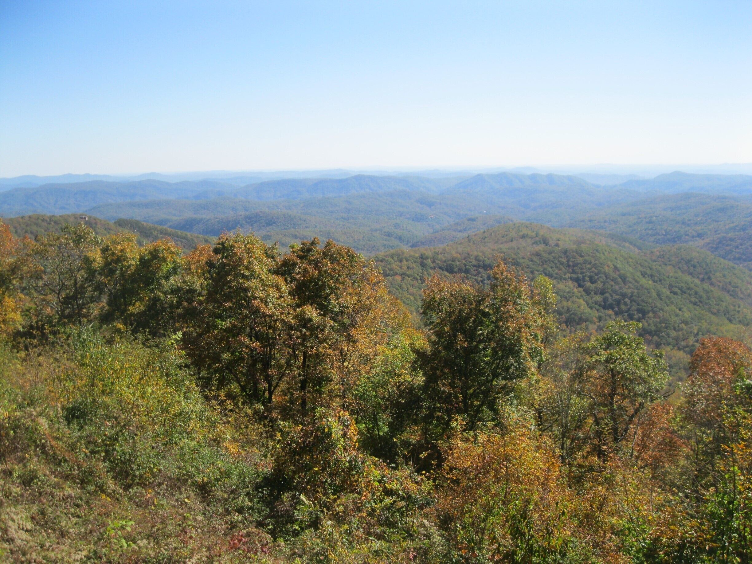 A bit of fall color from Blue Ridge Parkway