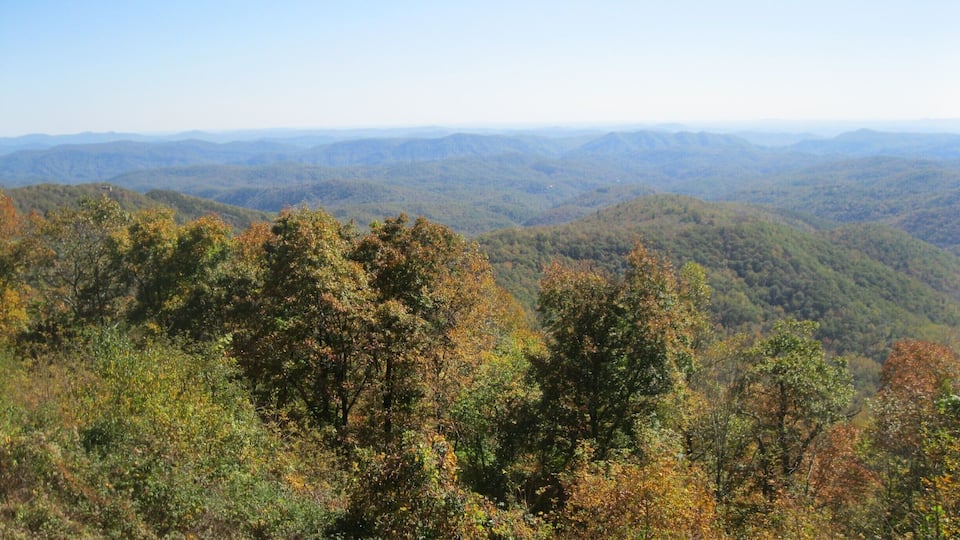 A bit of fall color from Blue Ridge Parkway