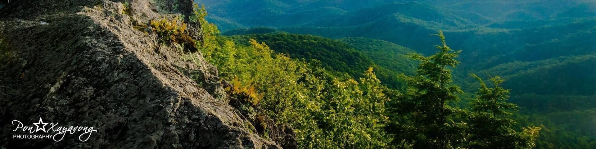 Une personne se tient sur un promontoire rocheux, d’où elle domine un paysage montagneux couvert d’une forêt dense.
