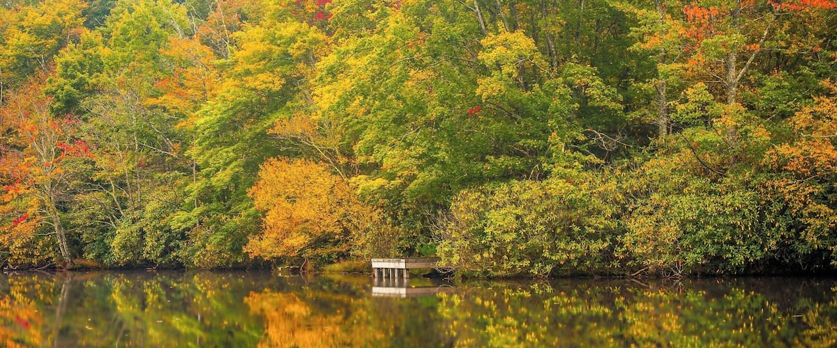 Julian Price Lake, just off the Blue Ridge Parkway in the North Carolina Mountains, is one of my favorite places to get away from it all. During the early morning hours, it is absolutely serene and blissful. This is also a good spot for astrophotography, although I haven't indulged in that personally yet.
Fall colors at the lake are just magical. There's also lots and lots of hiking paths and trails all over. Grandfather Mountain, The Mile High Swinging Bridge, Rough Ridge, The Linn Cove Viaduct are all nearby. A great way to spend a weekend.
#Reflection #Fall #Autumn #Colors #NC #BRP #PriceLake #USA #colorful #seasons #treetrove #green #pattern