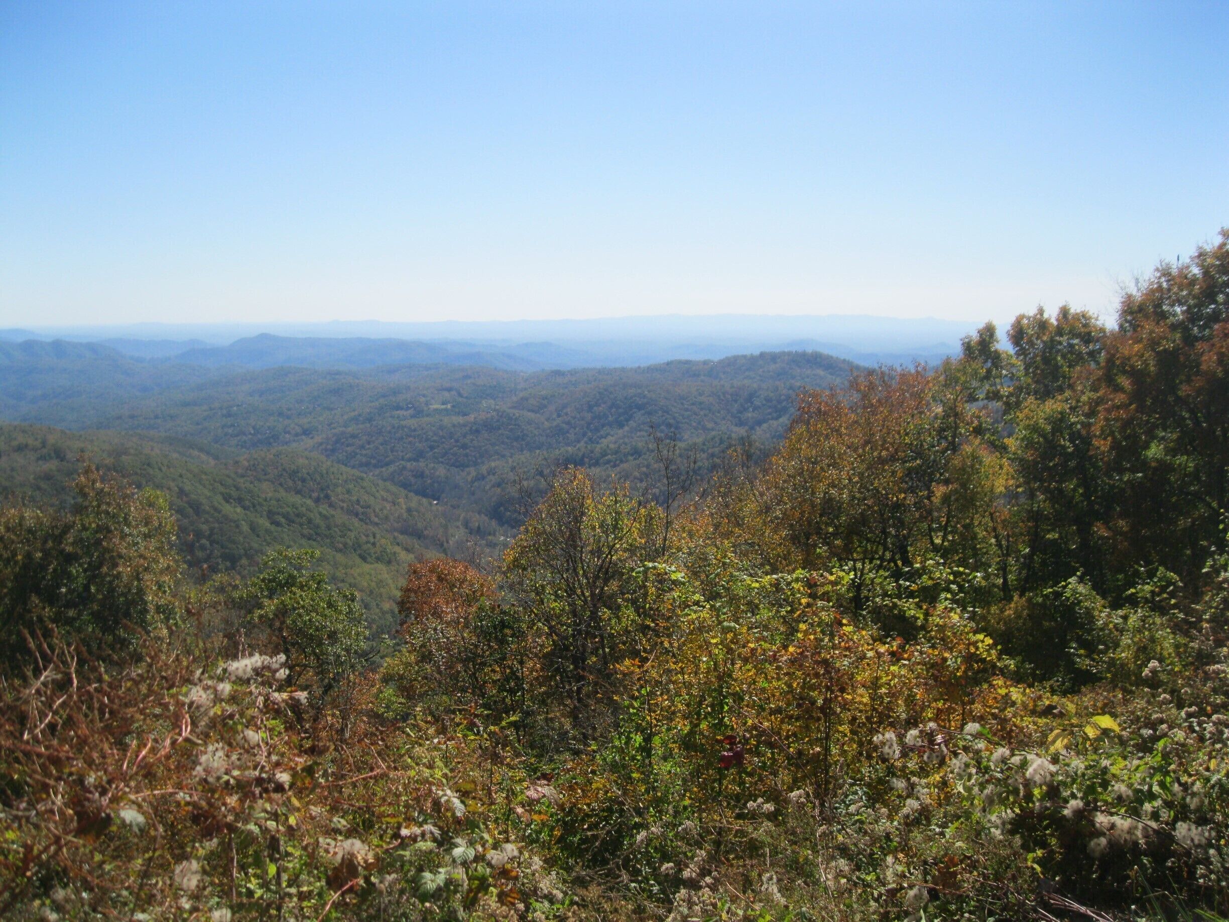 A bit of NC from Blue Ridge Pkwy