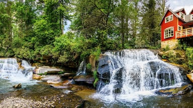 Living Waters
