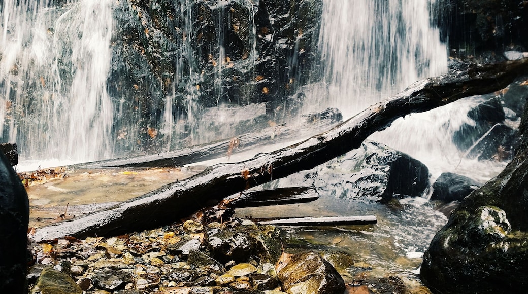Glen Burney Trail is a fun one to check out. You can get super close to the 3 falls on the trail!