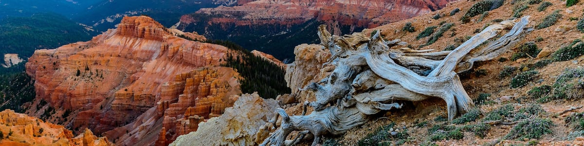 Cedar Breaks National Monument