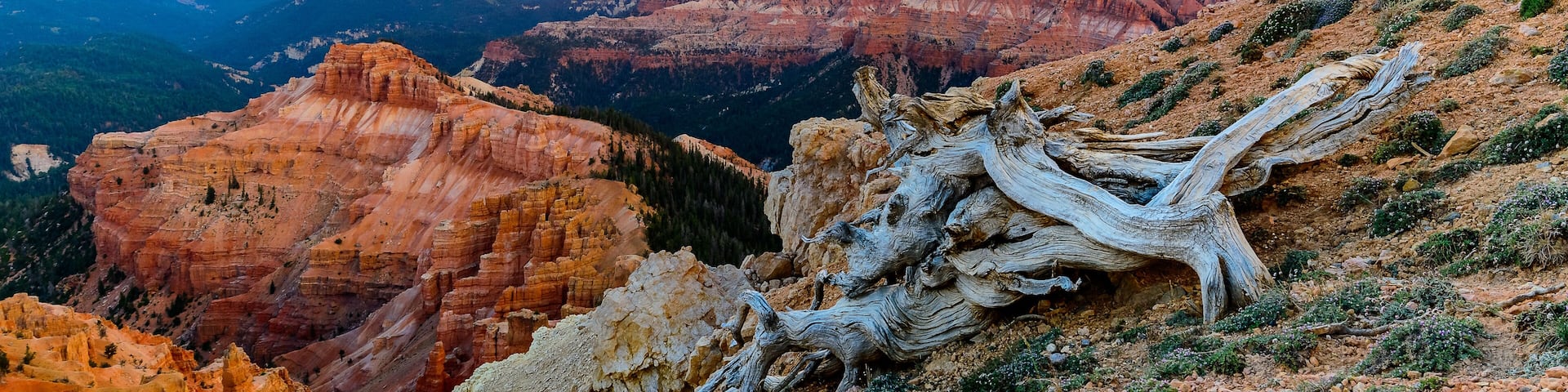 Cedar Breaks National Monument