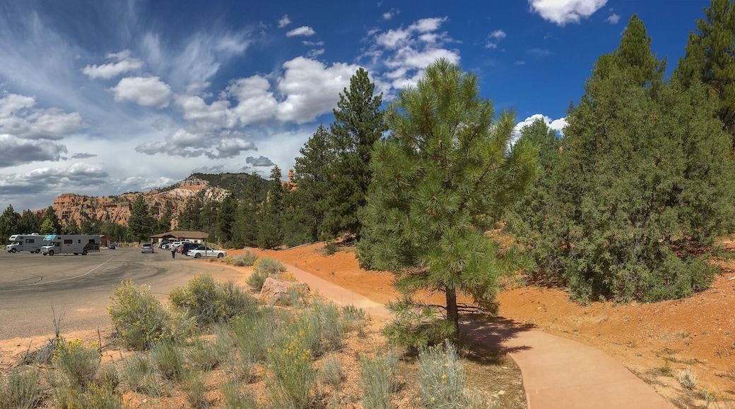 Parkplatz am Red Canyon im Us Bundesstaat Utah