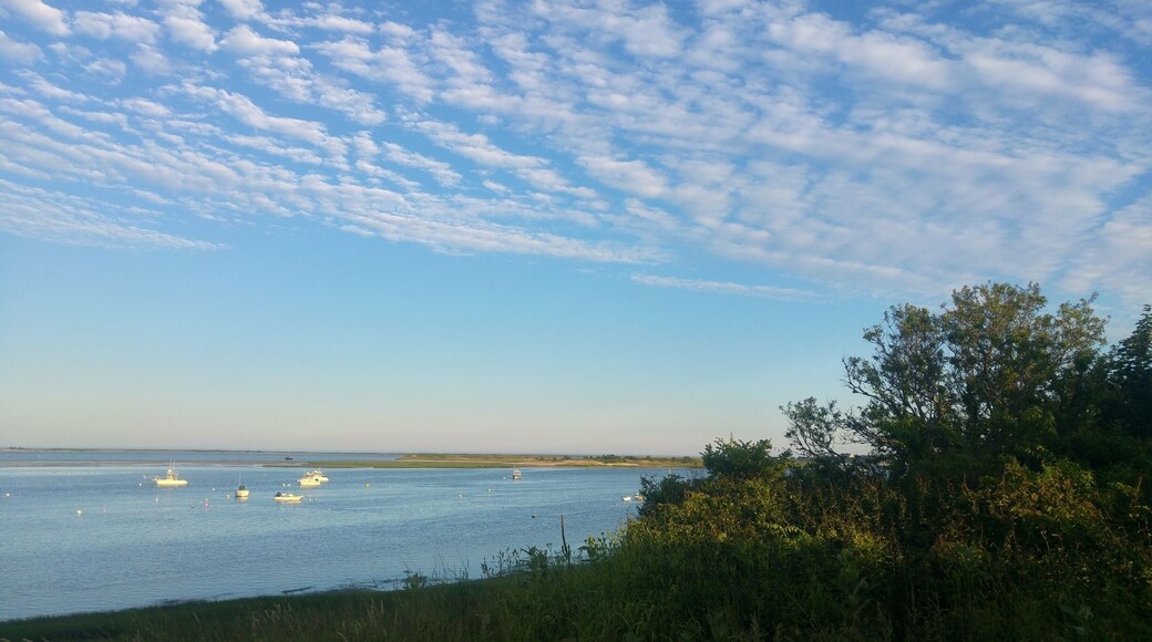 #patterns Taken during a stroll along the north Chatham bay just before sunset. It had rained the day before so the air was especially clear, but walking along the beach was a great way to spend the evening. Watch out for all the seaweed though!