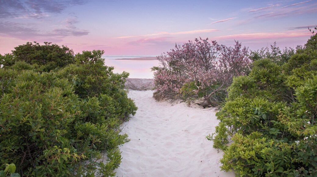 Down to the beach for a walk at twilight. Monomoy National Wildlife Refuge has something for everyone. Walking trails, salt marsh, birds, views, and of course that beautiful beach.
