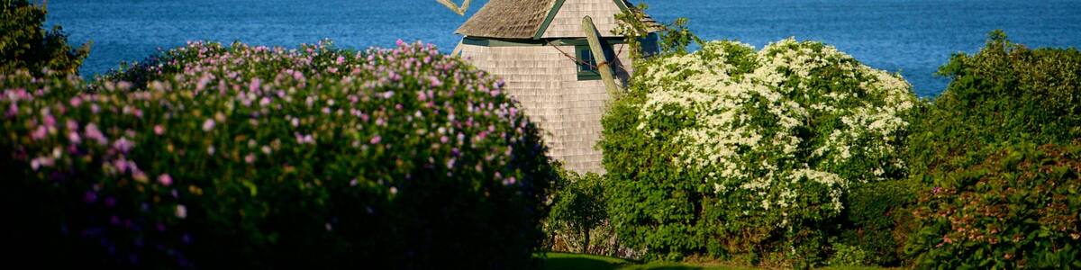 Chatham mit einem Wildblumen, Windmühle und allgemeine Küstenansicht