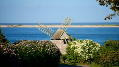 Chatham which includes wild flowers, a windmill and general coastal views