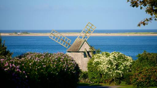 Chatham showing wild flowers, general coastal views and a windmill