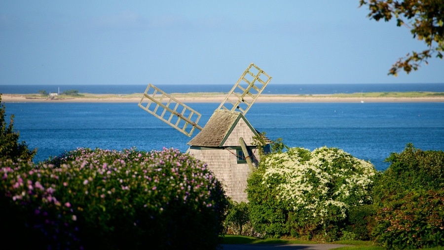 Chatham mostrando paisagens litorâneas, flores silvestres e um moinho de vento