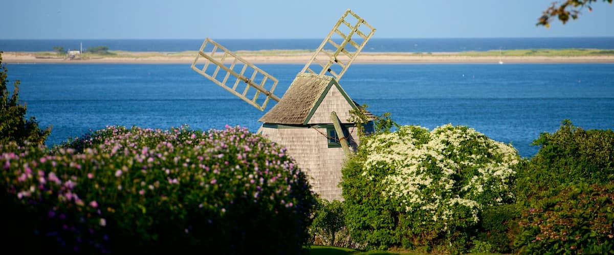 Chatham which includes wild flowers, general coastal views and a windmill