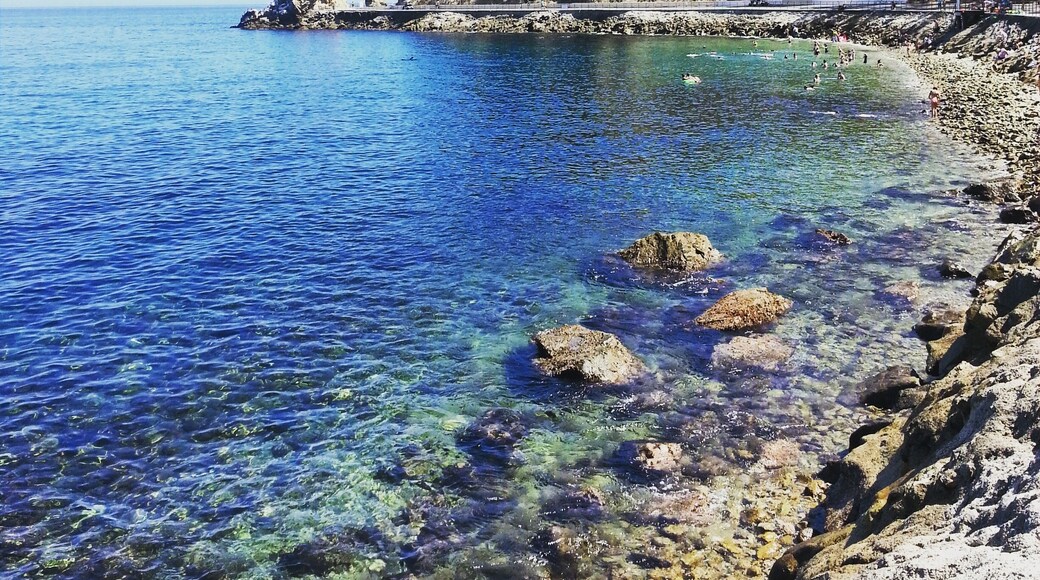 Go snorkeling in the beautiful blue waters of Catalina Island's lover's cove. It's a protected area with lots of corals and sea life.