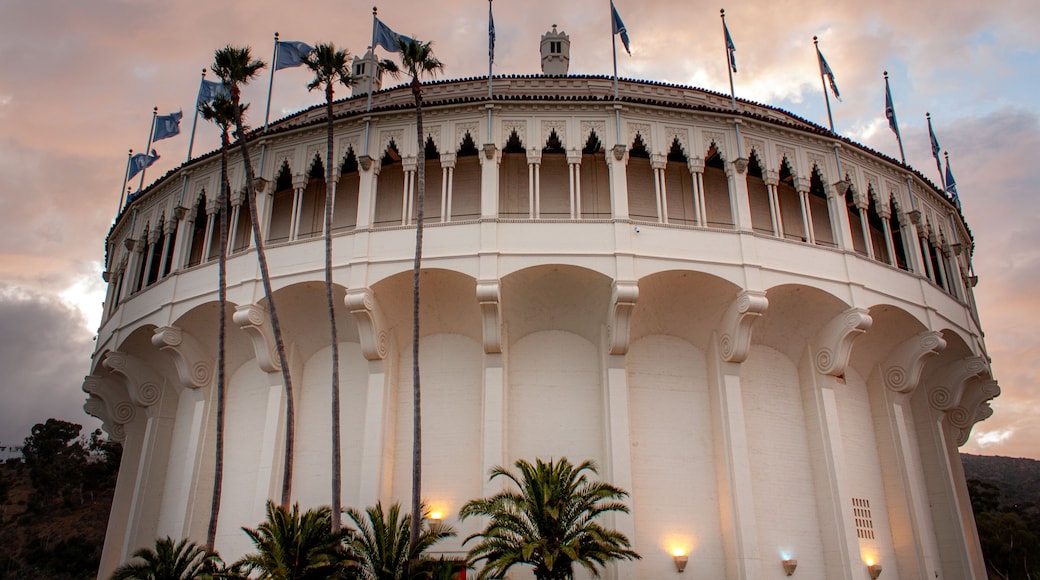 A Star of The Show
#landscape #building #architecturephotography #islandlife #island #mountains #catalina #travel #holiday #casino #photography #mood #clouds #lights #storm #showers #nubes #nuvole #potd #photo #fotó #foto #picoftheday #PhotoOfTheDay #pic #abc7eyewitness #nbcla