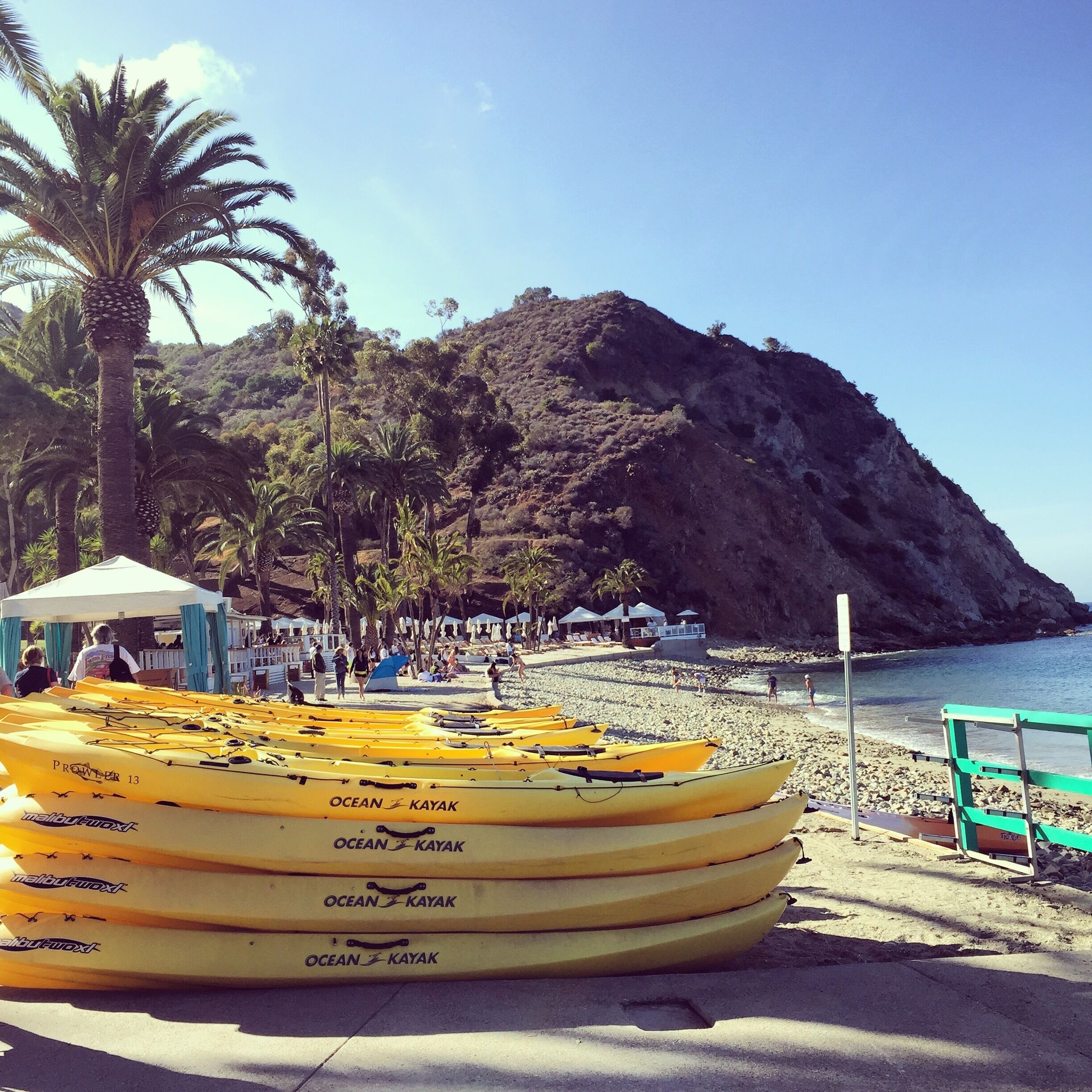 Lazy day on the beach. Anybody up for kayaking? #travelbug #avalon #catalinaisland #california #socal #channelislands #beachbum #watersport