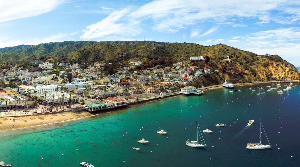 Avalon