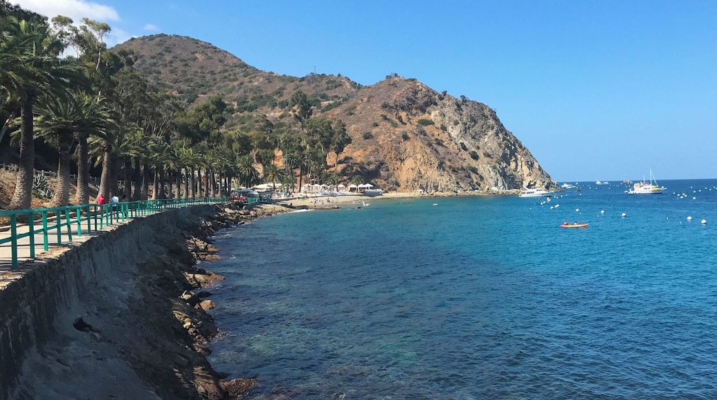 Catalina Island is only 22 miles from LA and makes for a good day trip from there. #LifeAtExpedia