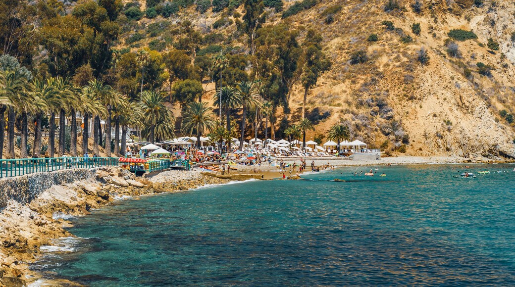 Avalon