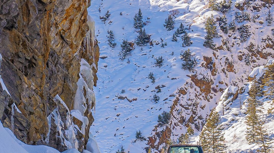 Always interesting driving on Red Mountain Pass. Just when you think it's the blizzards that are dangerous, remember to look up.