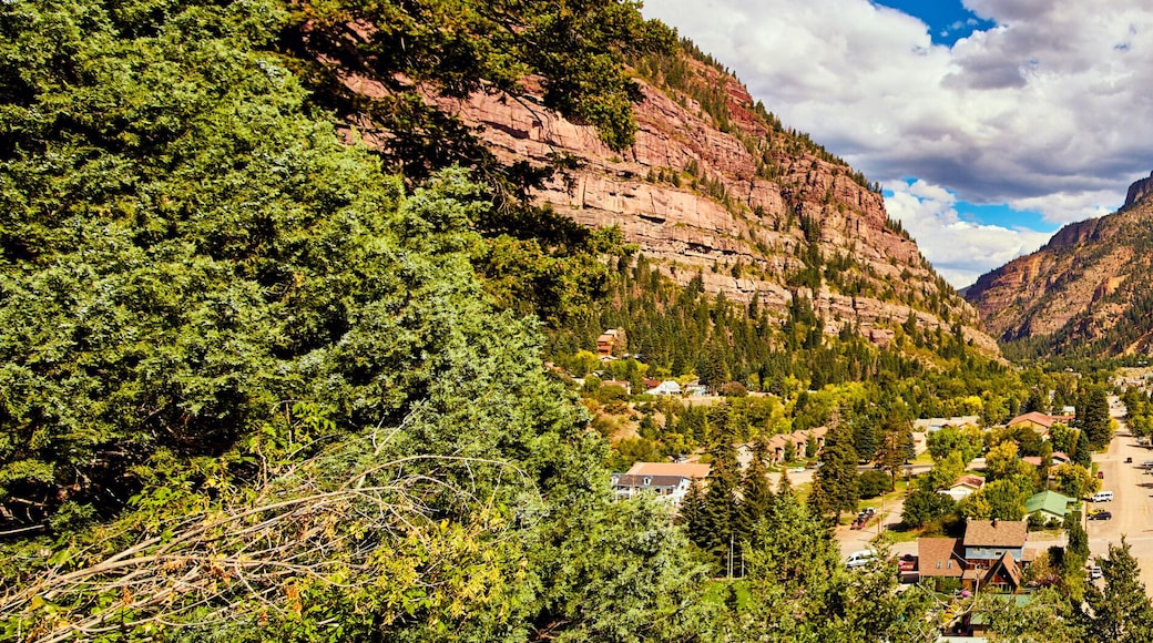 Ouray