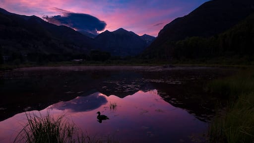 Silverton