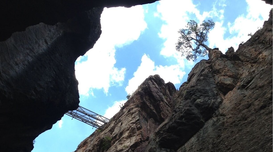 Looking up at the high bridge over Box Canyon, built in 1900 by the Bollen Bridge Company to support water pipes that criss-crossed the canyon where miners searched fruitlessly for gold. It is now a walking bridge that takes you into a tunnel in the side of the canyon wall - all part of an excellent hike along the Ouray perimeter trail.