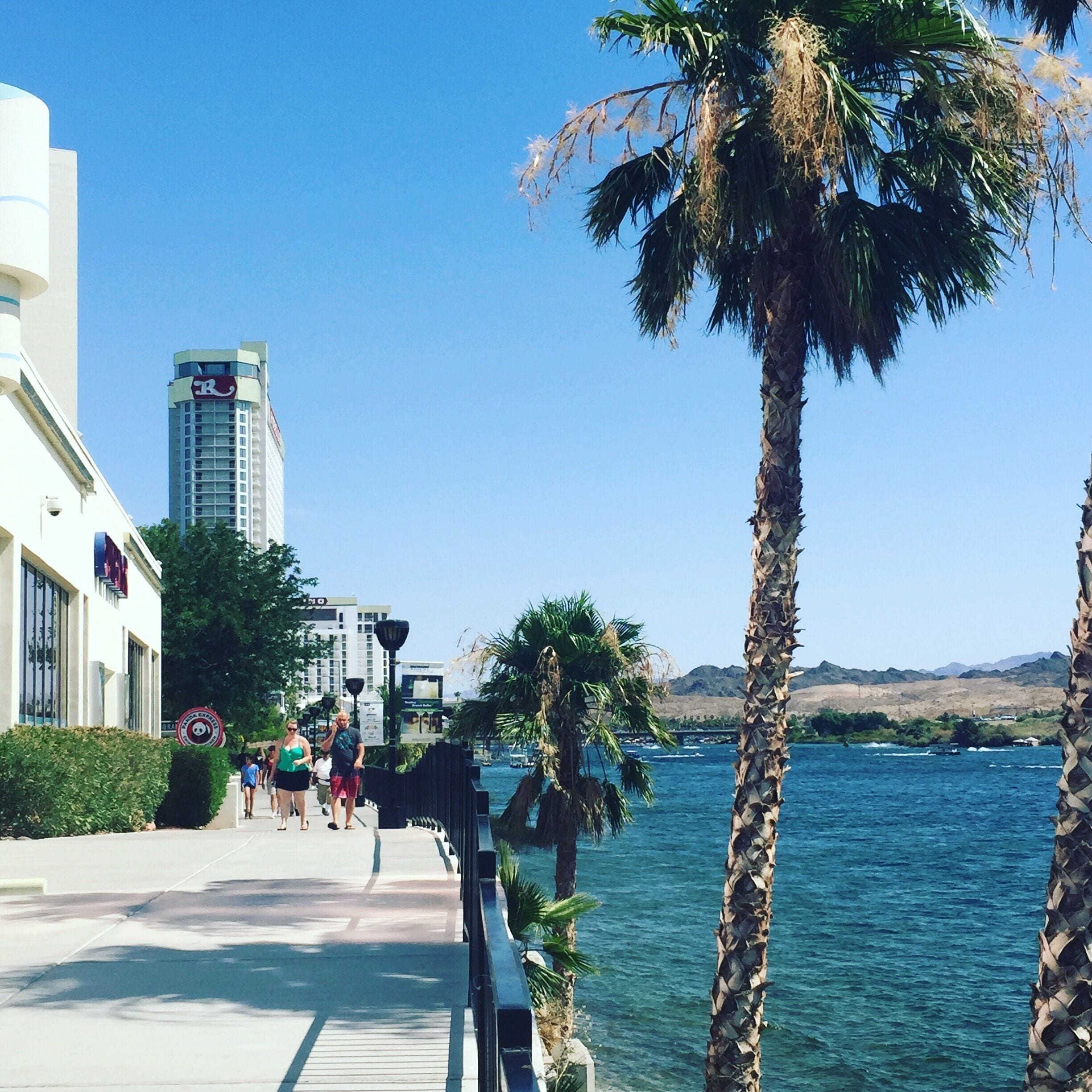 NATIVE SONS Laughlin インディゴ Laughlin Ranch, Bullhead City Homes For Sale & Real Estate | Movoto