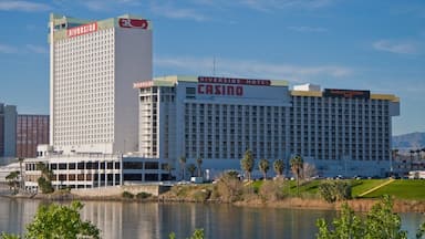 Enjoying the vibrant atmosphere of Laughlin, Nevada with the riverside and casino backdrop on a sunny day