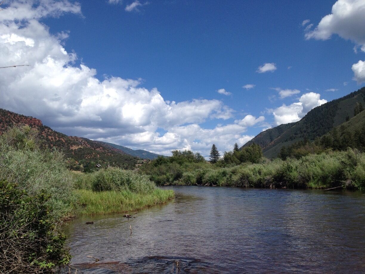 Frying Pan River - Basalt Co. "Be patient" translates to you're not that good at fly fishing - these are smart fish.