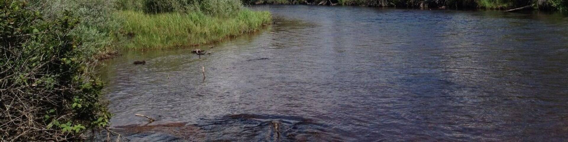 Frying Pan River - Basalt Co. "Be patient" translates to you're not that good at fly fishing - these are smart fish.