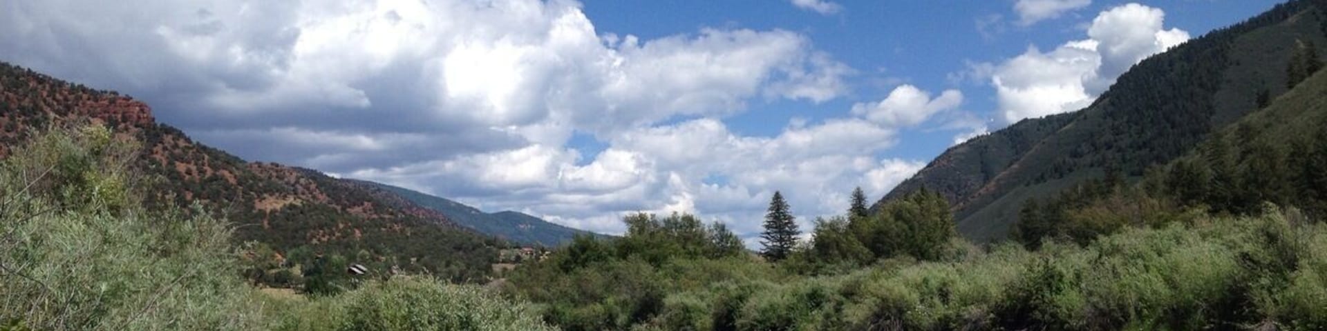 Frying Pan River - Basalt Co. "Be patient" translates to you're not that good at fly fishing - these are smart fish.