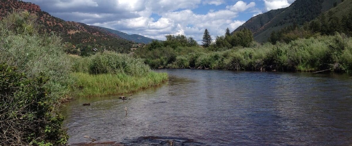 Frying Pan River - Basalt Co. "Be patient" translates to you're not that good at fly fishing - these are smart fish.
