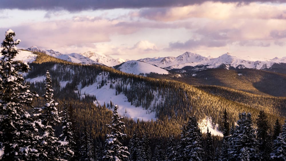 Idyllic shot of trees on mountains against sky during winter