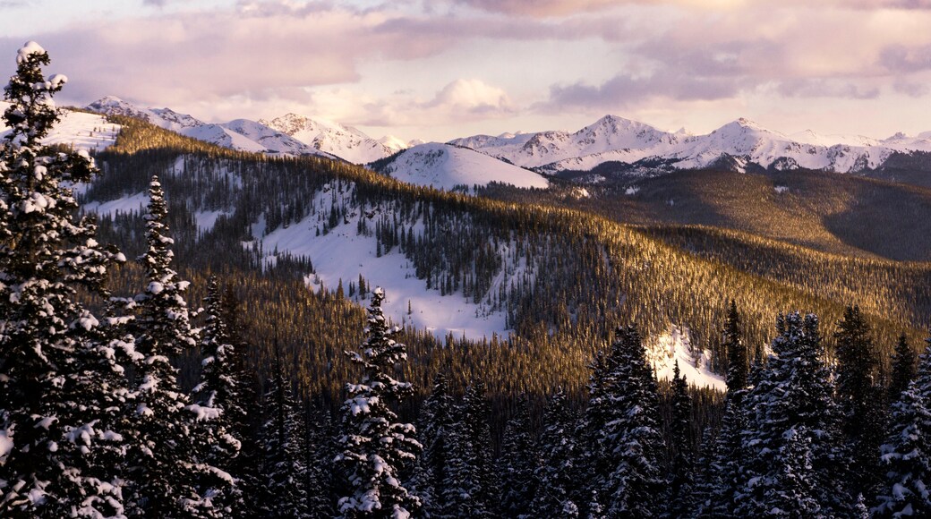 Idyllic shot of trees on mountains against sky during winter