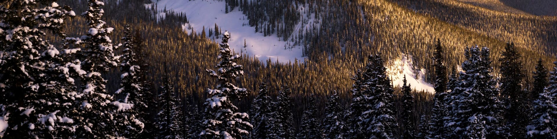 Idyllic shot of trees on mountains against sky during winter