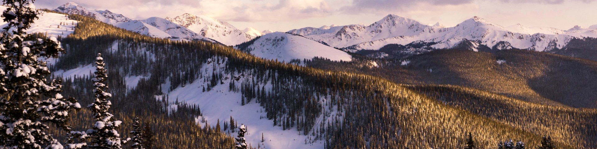 Idyllic shot of trees on mountains against sky during winter