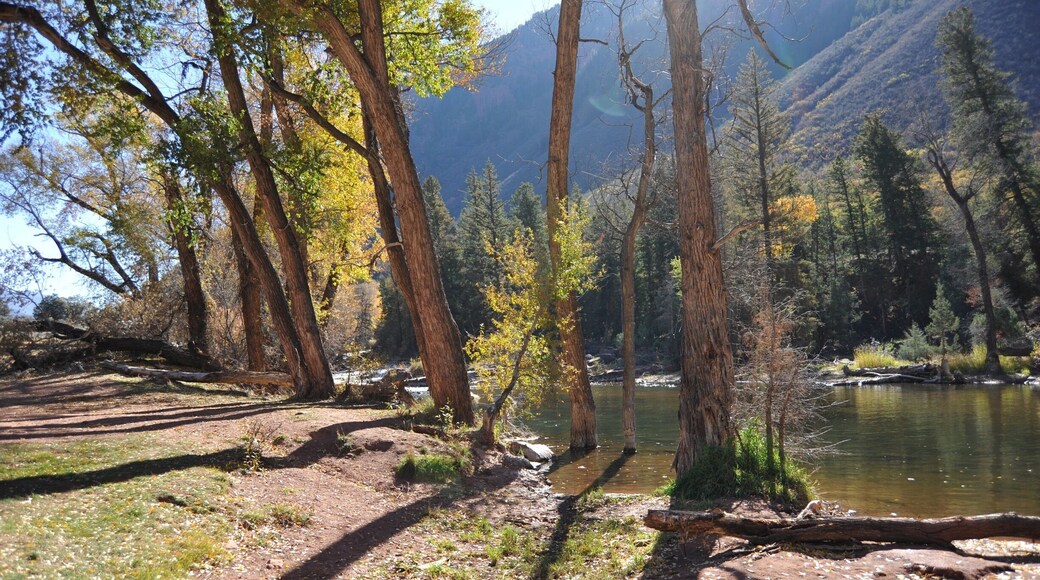 Nice spot to try fly fishing for trout.