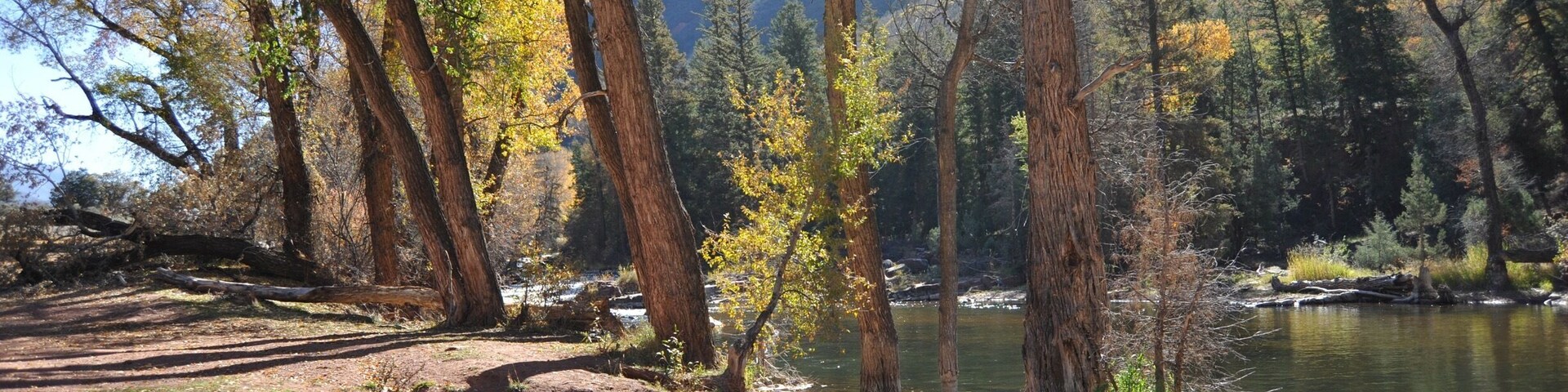 Un río con árboles y una montaña al fondo.
