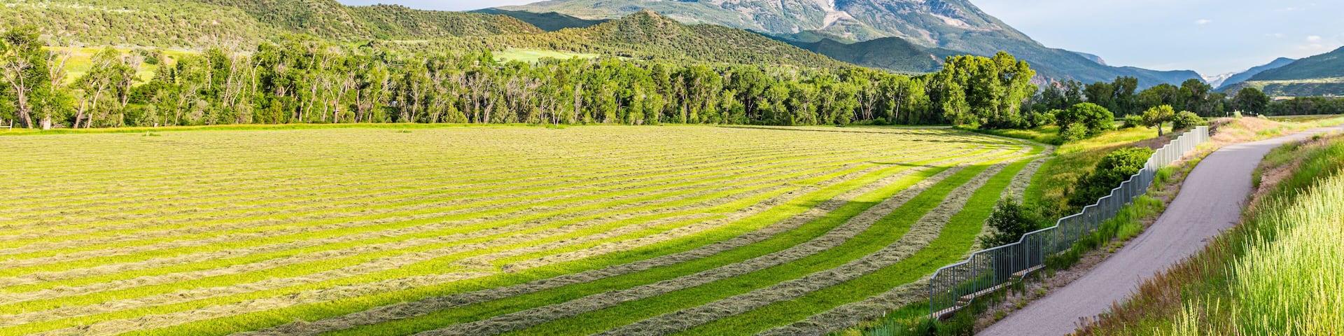 Carbondale, USA with view of mount Sopris and farm ranch in Colorado with road and nobody view of snow mountain peak