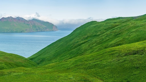 Views of Dutch Harbor