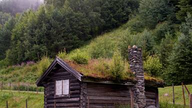 A rustic log cabin with a stone chimney, surrounded by lush greenery and a forested hillside.