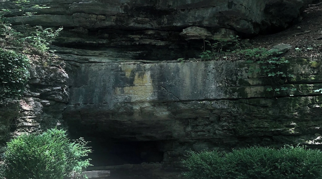 Eureka Springs is such an interesting town! This is right in downtown Eureka Springs, Arkansas #arkansas